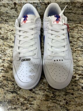 NIKE x DEPAUL LOW DUNK